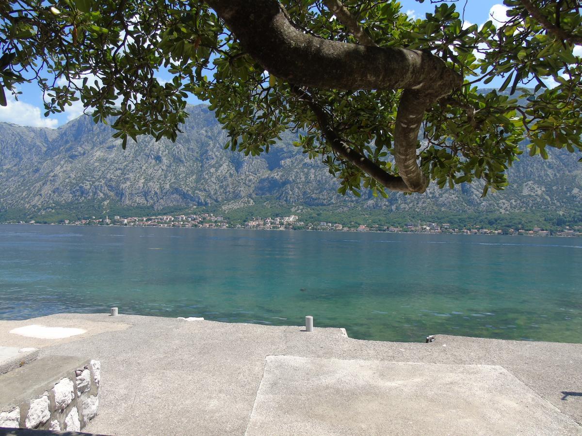 Apartments Marysol Kotor Exterior photo